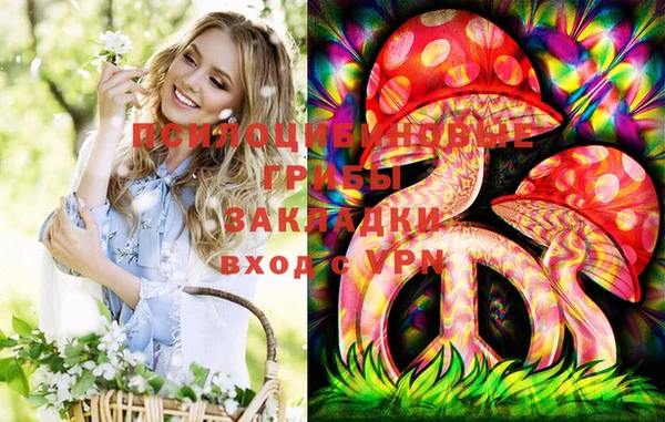 эйфоретик Алзамай