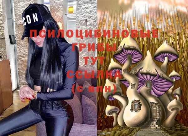 бошки Алексин