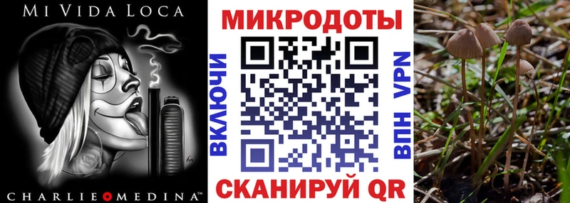 где продают наркотики  MEGA ссылка  Галлюциногенные грибы мухоморы  Данилов 